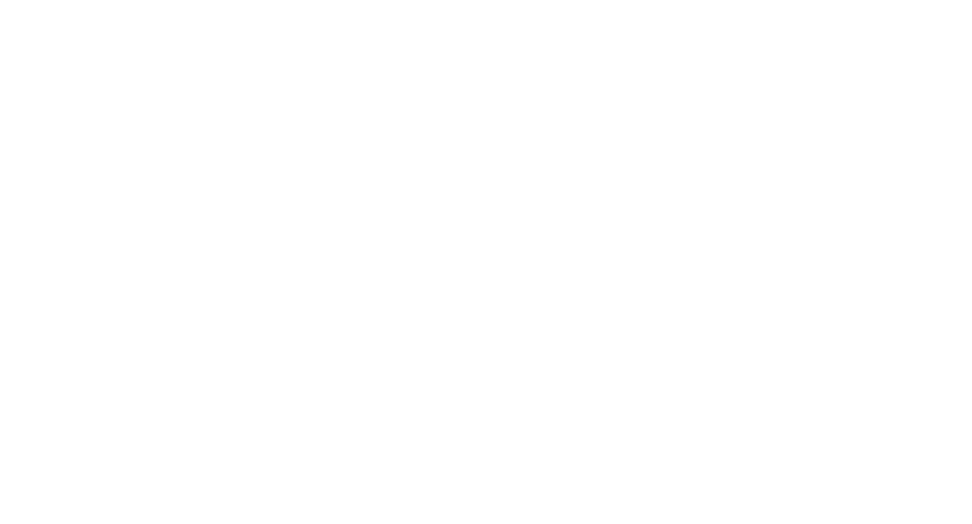 Bullet Gun Bot